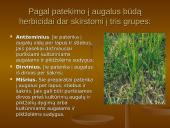 Pesticidai ir herbicidai 6 puslapis