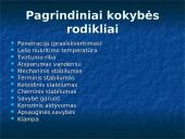 Plastiškųjų tepalų produktai 7 puslapis