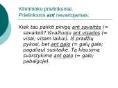 Prielinksnių, dalyvių, pusdalyvių vartojimas 12 puslapis