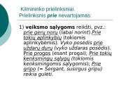 Prielinksnių, dalyvių, pusdalyvių vartojimas 19 puslapis