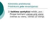 Prielinksnių, dalyvių, pusdalyvių vartojimas 20 puslapis