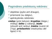 Prielinksnių, dalyvių, pusdalyvių vartojimas 3 puslapis