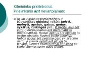 Prielinksnių, dalyvių, pusdalyvių vartojimas 8 puslapis