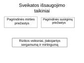 Profilaktika 3 puslapis