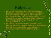 Projektas: Rūkymo žala 12 puslapis