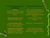 Projektas: Rūkymo žala 4 puslapis