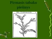 Projektas: Rūkymo žala 8 puslapis