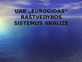 Raštvedybos sistemos analizė: UAB "Eurogidas"