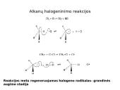Reakcijų mechanizmai. Alkanai, alkenai, aromatiniai junginiai 16 puslapis