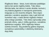 Rūgštūs lietūs, kaip globalinio aplinkos taršos problema 2 puslapis