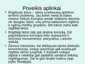 Rūgštūs lietūs, kaip globalinio aplinkos taršos problema 11 puslapis