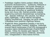 Rūgštūs lietūs, kaip globalinio aplinkos taršos problema 12 puslapis