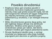 Rūgštūs lietūs, kaip globalinio aplinkos taršos problema 16 puslapis