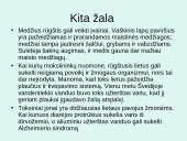 Rūgštūs lietūs, kaip globalinio aplinkos taršos problema 17 puslapis