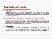 Sandėliai ir terminalai 12 puslapis