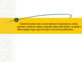 Simonas Daukantas, jo gyvenimas bei darbai 11 puslapis