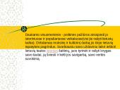 Simonas Daukantas, jo gyvenimas bei darbai 14 puslapis