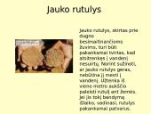 Stereometriniai kūnai matematikai 19 puslapis