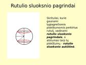 Stereometriniai kūnai matematikai 7 puslapis