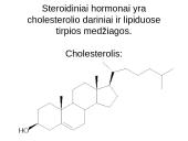 Steroidiniai hormonai 4 puslapis