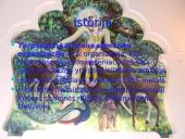 Tarptautinė Krišnos Sąmonės organizacija 2 puslapis