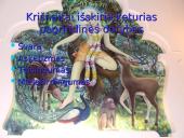 Tarptautinė Krišnos Sąmonės organizacija 4 puslapis