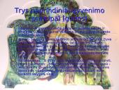 Tarptautinė Krišnos Sąmonės organizacija 6 puslapis