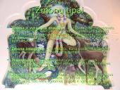 Tarptautinė Krišnos Sąmonės organizacija 9 puslapis