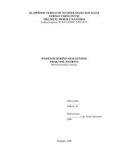Pasiūlos dydžio nustatymas. praktinė patirtis