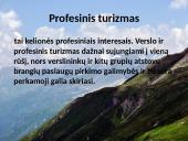 Turizmas, turizmo transportas 6 puslapis