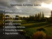 Turizmas, turizmo transportas 8 puslapis