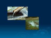 Vanduo bei vandens užterštumas 8 puslapis