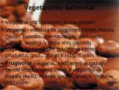 Vegetarizmo dieta 2 puslapis