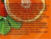 Vegetarizmo dieta 11 puslapis