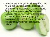 Vegetarizmo dieta 12 puslapis