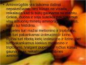 Vegetarizmo dieta 13 puslapis