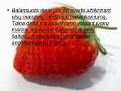 Vegetarizmo dieta 14 puslapis