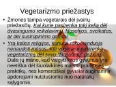 Vegetarizmo dieta 4 puslapis
