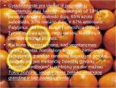 Vegetarizmo dieta 8 puslapis