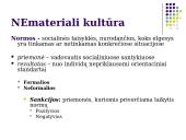 Visuomenė. Kultūra 13 puslapis