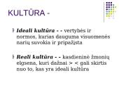 Visuomenė. Kultūra 15 puslapis