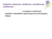 Visuomenė. Kultūra 16 puslapis