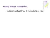 Visuomenė. Kultūra 17 puslapis