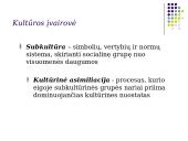 Visuomenė. Kultūra 19 puslapis