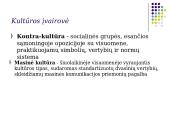 Visuomenė. Kultūra 20 puslapis