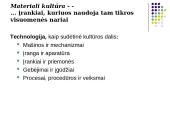 Visuomenė. Kultūra 7 puslapis