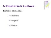 Visuomenė. Kultūra 8 puslapis