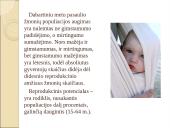 Žmogaus populiacijos augimo ir gyvųjų resursų eikvojimo problemos 13 puslapis