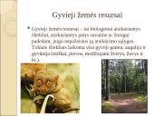 Žmogaus populiacijos augimo ir gyvųjų resursų eikvojimo problemos 18 puslapis