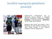 Žmogus ir globalizacija 14 puslapis